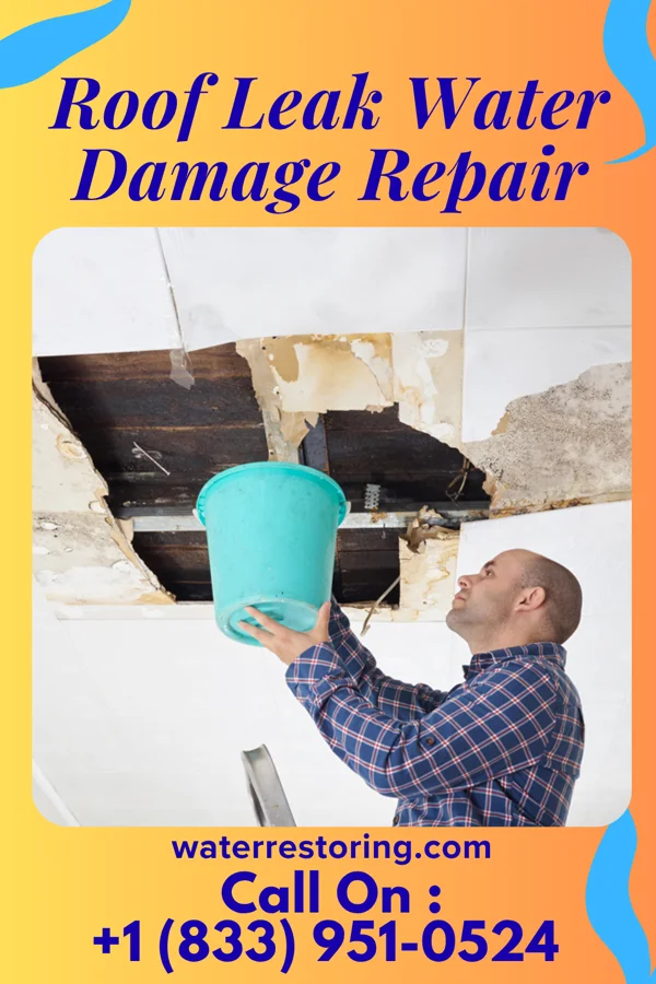Roof Leak Water Damage Repair in Wynot, NE