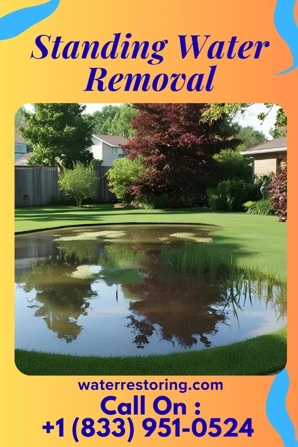 Standing Water Removal in Wynot, NE